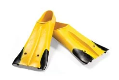 Palmes Courtes De Natation Finis Z2 Gold Zoomers